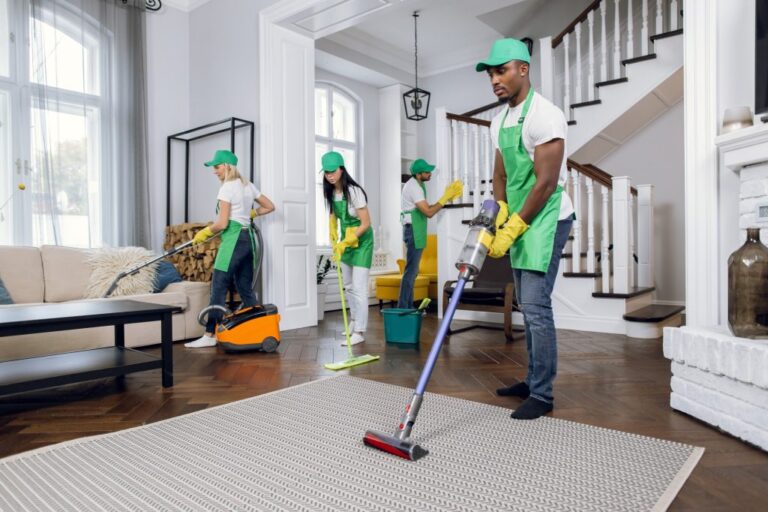 Professional House Cleaning Services